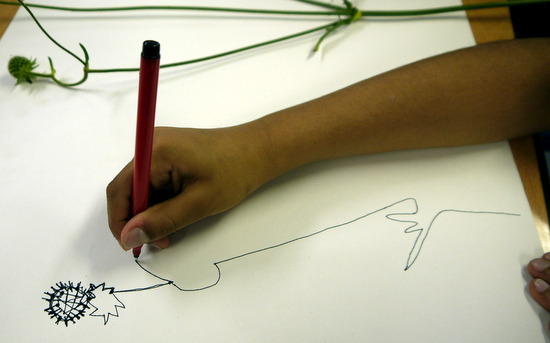 Drawing and making flowers. Students concentrate on looking and let the marks follow