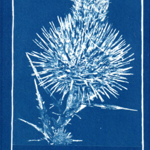 Artist and educator Maru Rojas shares how to create beautiful cyanotype images