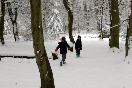 Artists Caroline and Deborah enable children to enjoy a woodland exploration, using art and imagination as their discover tools in collaboration with Cambridge Curiosity and Imagination.