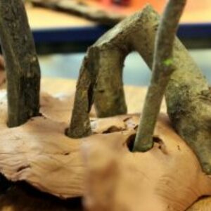 Creating woodlands with clay and tools