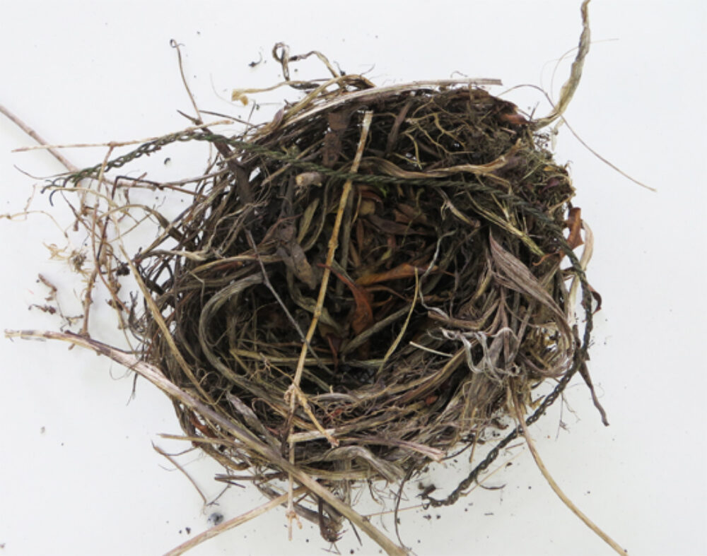 Fine Nest