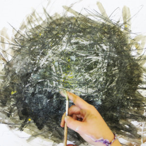 Making drawings of nests using a range of materials