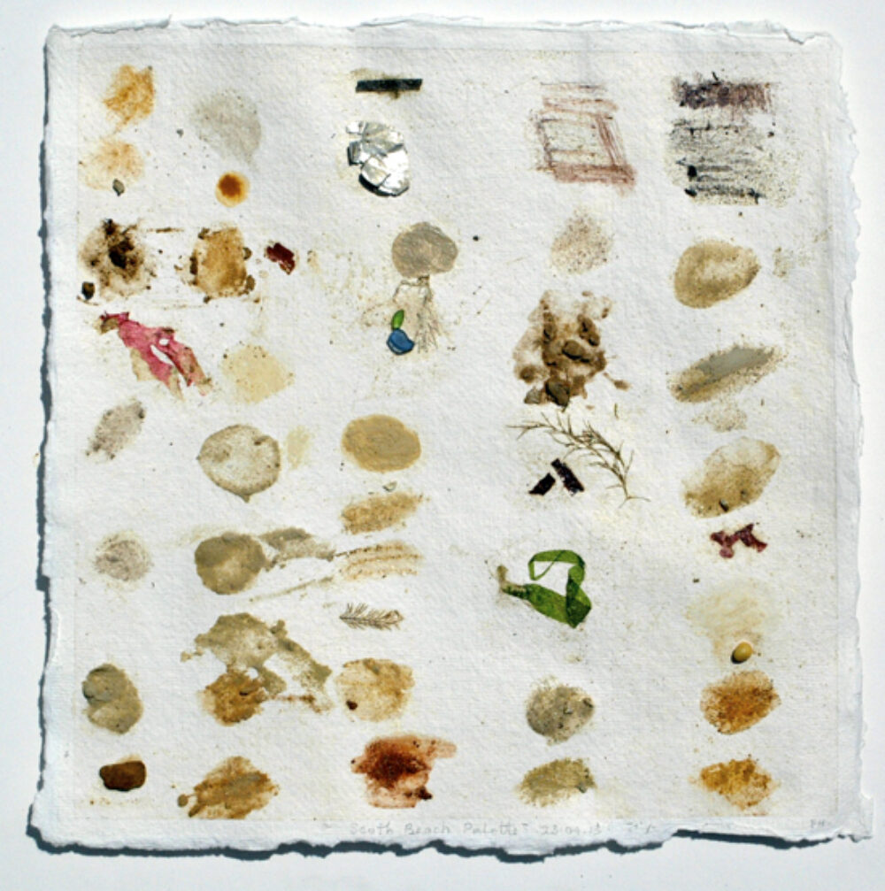 A palette drawn on Khadi paper. (a hand made indian paper that is really tough and flexible). Sea weed, litter, natural earths, clays and sands from the site.