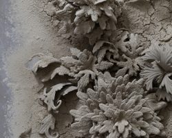 Students, from the DesignLab at the V&A, London, worked with artist Phoebe Cummings over a three month period to create a site-specific, group piece, from unfired clay which was inspired by the historical 2D designs found on 19th century British tableware in the collection.