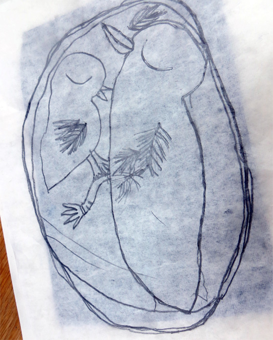 Making and Drawing Birds
