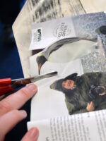 Finding and then cutting animals out of magazines