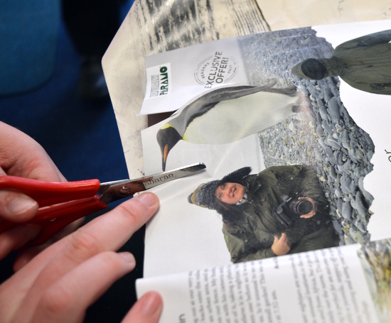 Finding and then cutting animals out of magazines