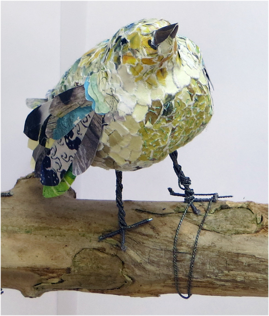 Making and Drawing Birds