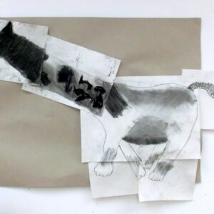 Shona’s 'Horse – giraffe – cat - snaketail'