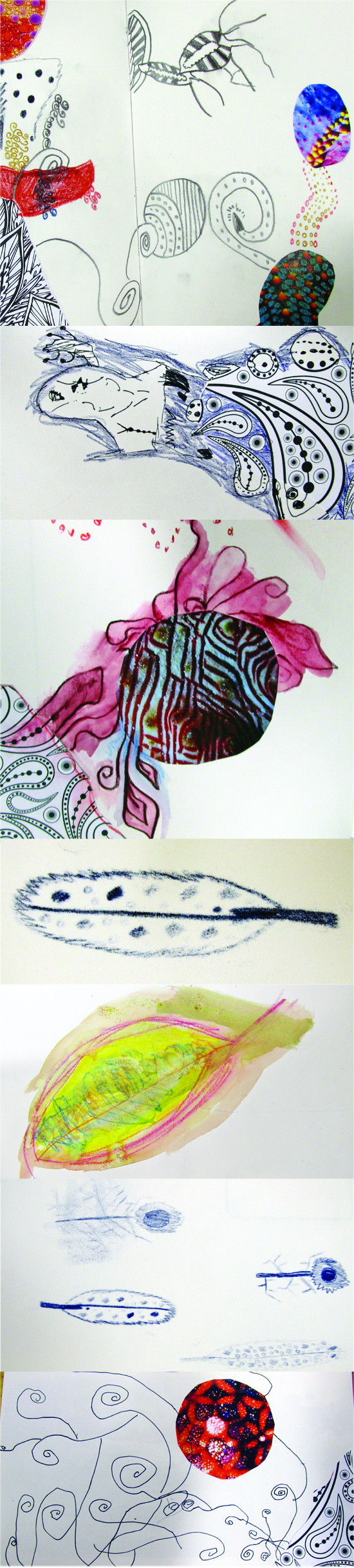 These sketches were completed by a small group of talented young artist's aged between 7 - 11 who belong to Dowson Primary's, (Hyde, Tameside), "Aspirational Artist's Club." The group began with a series of small activities taken from the Access Art drawing challenge. These have included line drawings, drawing with Inktense pencils and Indian inks, still life drawing, printing, model making and more recently taking sections out of colouring books or close up's of animal skins and extending them across the page.
The children have flown with their confidence and are still eager for more! They love your book ( /drawing-projects-children-paula-briggs/ ) and regularly use it to help inspire them. Thank you for sharing!