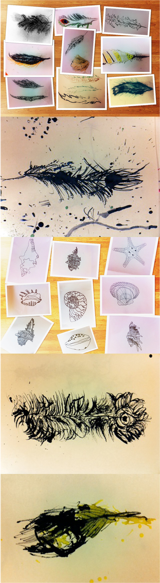 I am an art teacher in Kent who used the drawing challenge with children ranging from the ages of 8-11. For the feather drawings we used sticks and drawing inks which was challenging to control but produced some sensitive results.