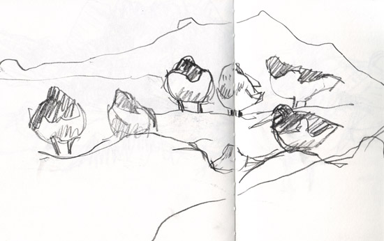 Making and Drawing Birds