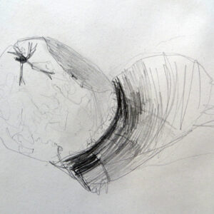Find out the benefits of continuous line drawing with this resource