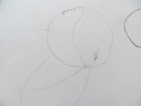 Continuous line drawing of an orange and its shadows