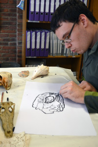 Learner at Red2Green drawing a skull on loan from University of Cambridge Museum of Zoology