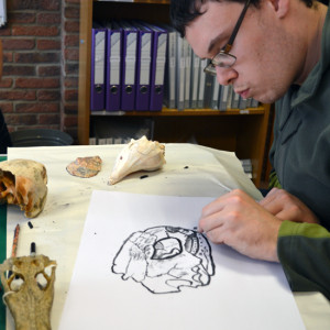 Learner at Red2Green drawing a skull on loan from University of Cambridge Museum of Zoology