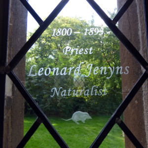 Window dedicated to naturalist Leonard Jenyns at St. Mary’s Swaffham Bulbeck - photo by Aspirations learner