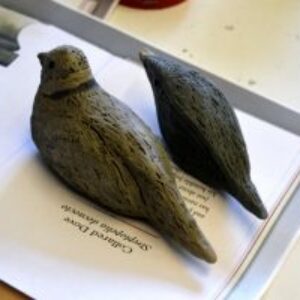 Making clay birds from a mould