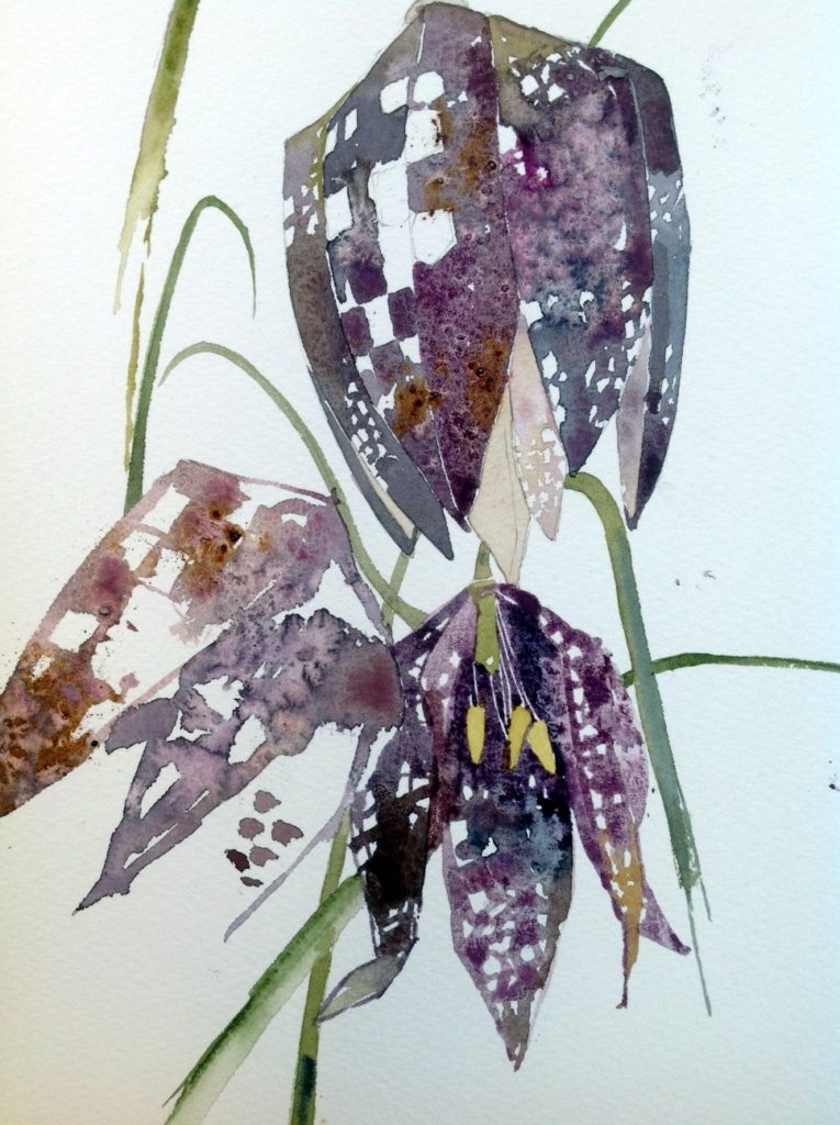 My dominant skill lies in Watercolour painting but my teaching encompasses a wide variety of mediums including Printmaking, Solar Photography, Drawing and Digital Art. Since becoming an Arts Award Advisor I have worked with vulnerable teenagers to successfully achieve Bronze and Silver awards and have been invited to share their work at the Tetley Arts Centre for CapeUK.