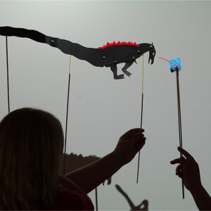 Shadow Puppets at Bourn Primary Academy