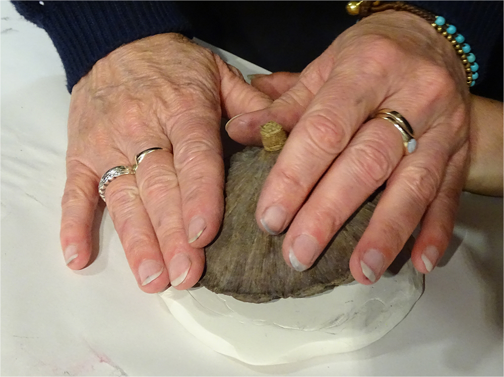 Pressing a Seedhead into Plastacine