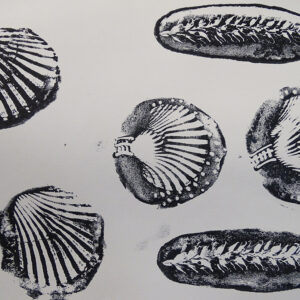 Prints