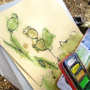 This workshop using feathers, watercolours and ink is based on the notion of Myriorama cards and encourages children to take inspiration from observational drawing and then let their drawings evolve into something more personal and expressive.