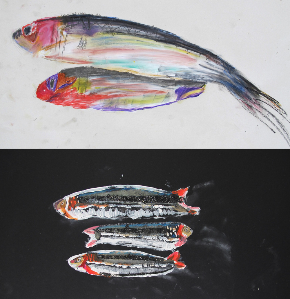 Year 3 Size-A2 Oil pastel and graphite. Studies drawn from direct observation of sardines.