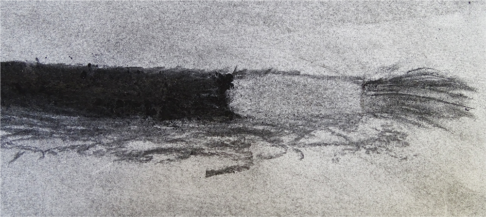 charcoal drawing of a brush