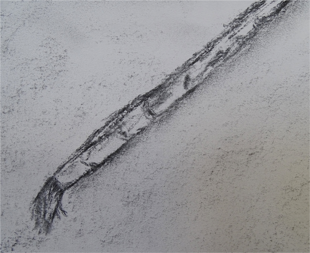 charcoal drawing of a brush
