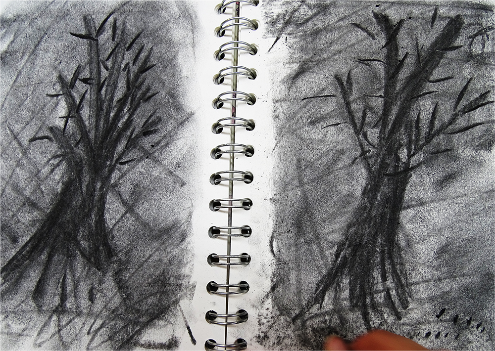 charcoal tree