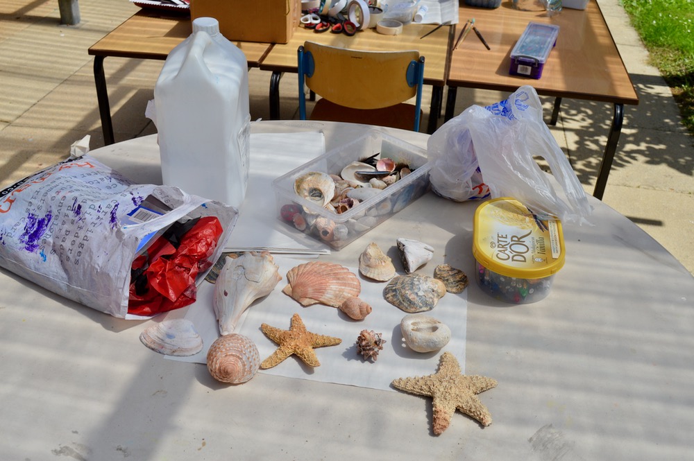 Shells - Ridgefield Primary School - SC