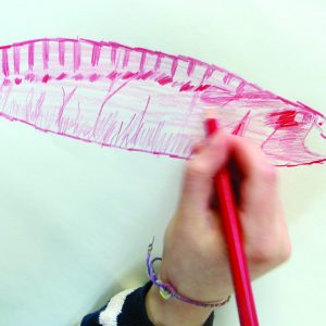 This exercise will encourage participants to think about the speed of drawing through careful observation.