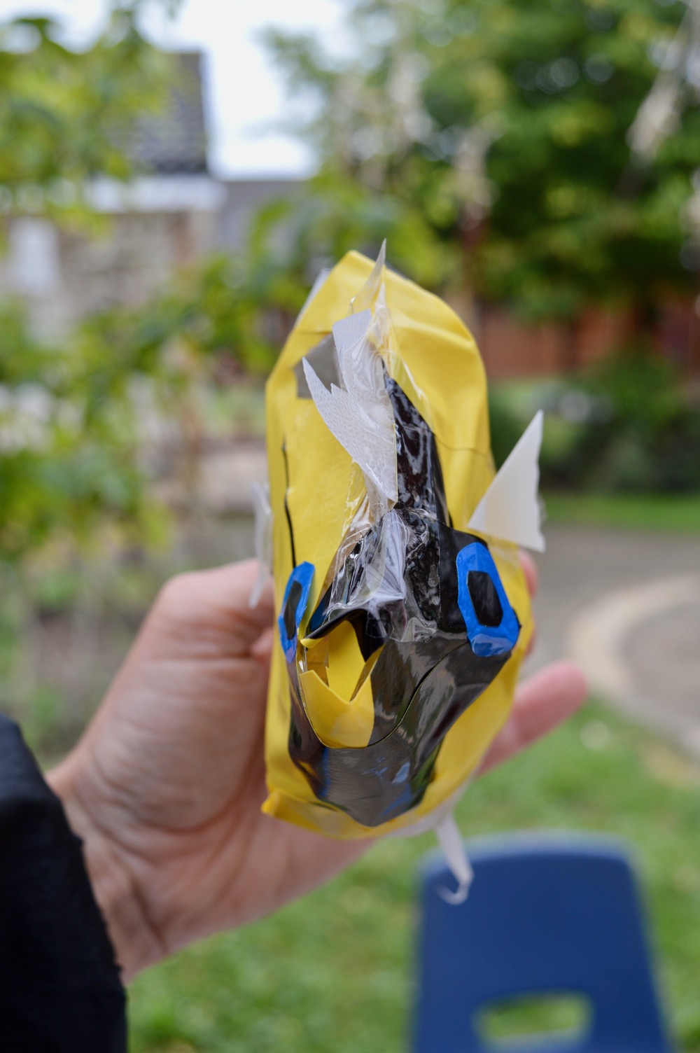 A very wonderful Archer Fish - Ridgefield Primary School