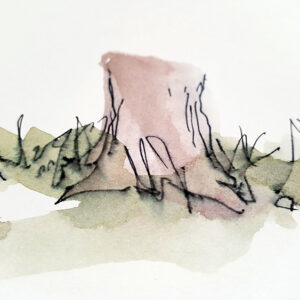 Watercolour over pen