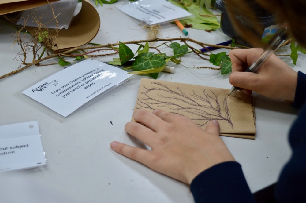 Drawing prompts - Art and Wellbeing at Chesterton Community College