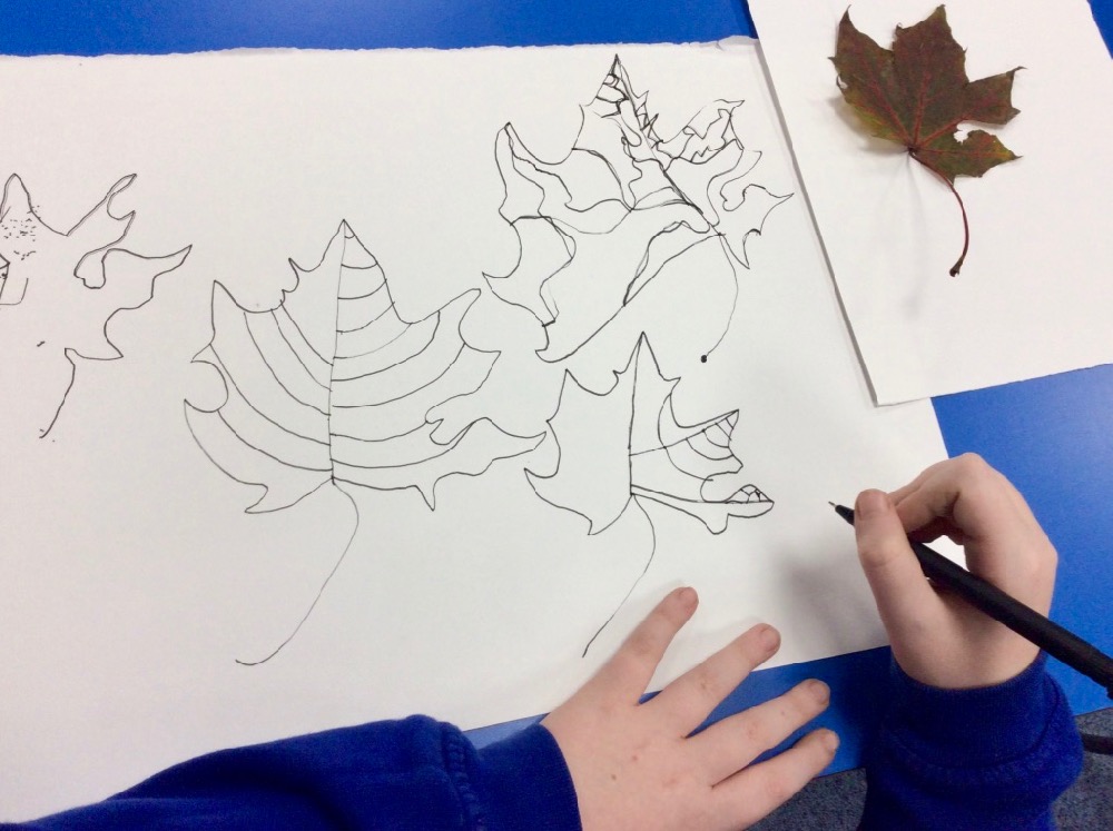 Adapt: use this classic drawing exercise to help pupils looks closely at plants as they draw
