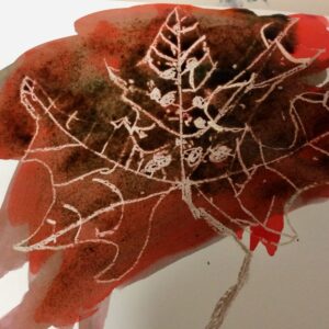 Featured in the 'Explore and Draw' Pathway