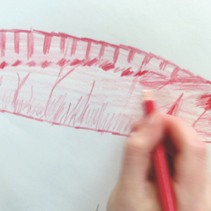 Put in place a pratise of drawing exercises during DT Half-Term