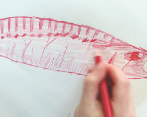 Backwards Forwards Drawing Exercise