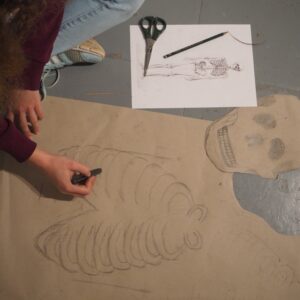 Drawing the Rib Cage