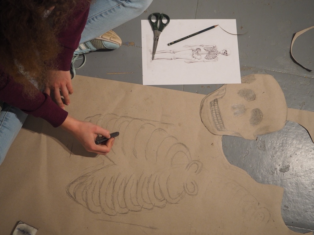 Drawing the Rib Cage