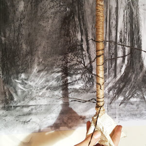 Creating tree sculptures and drawings