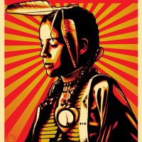 Large_Fairey_BlackHills_Indigenous_Amplifier-1