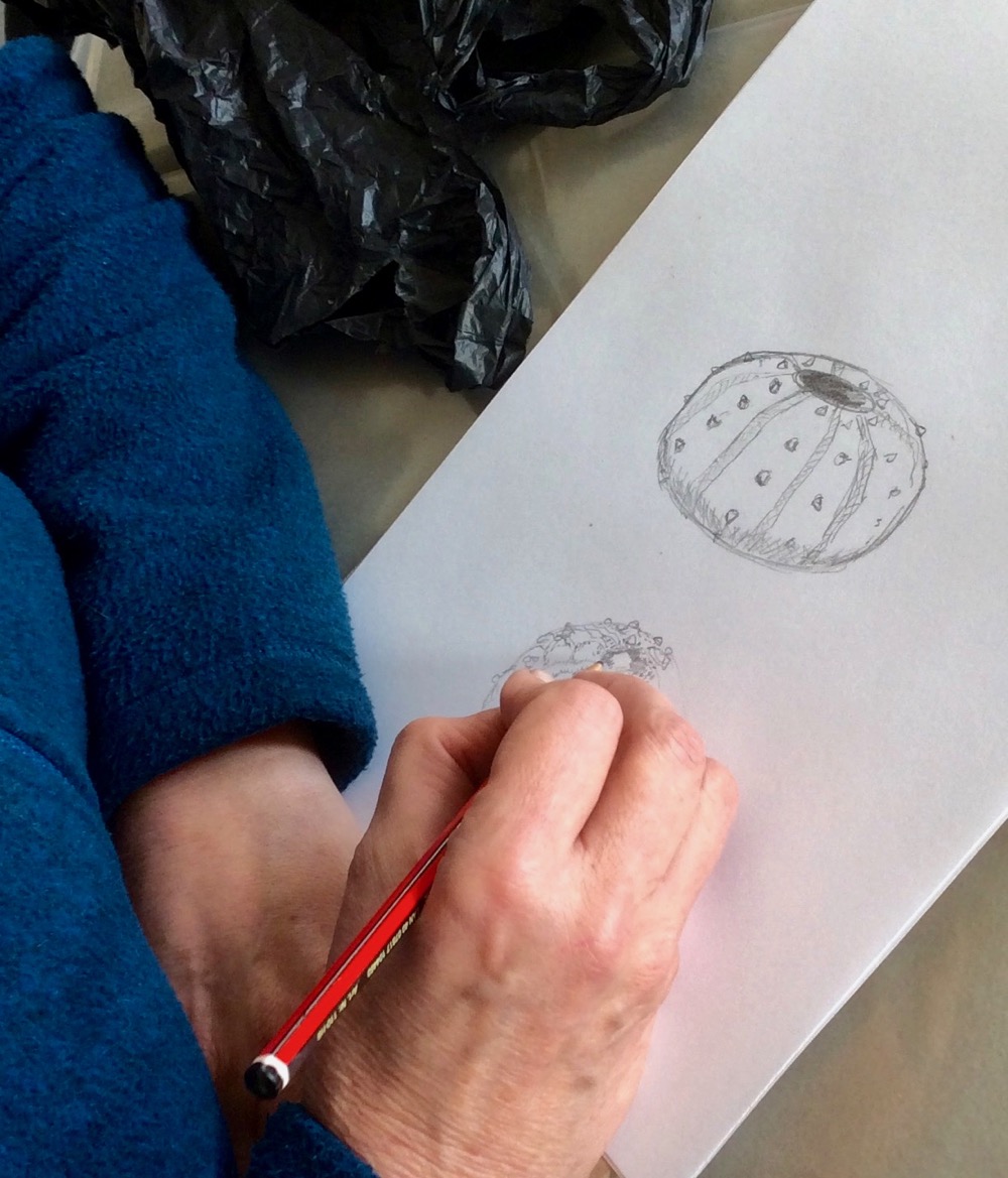 Drawing object with sight - Linda Green