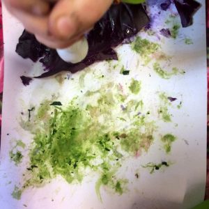 Exploring primal painting