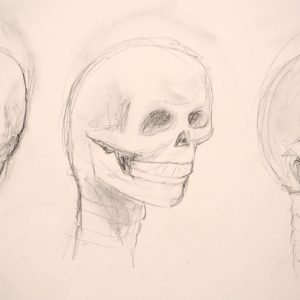 Three views: Front, 3/4 and profile