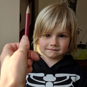 Introduction to portraits