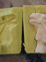 MPM_Alginate Molds