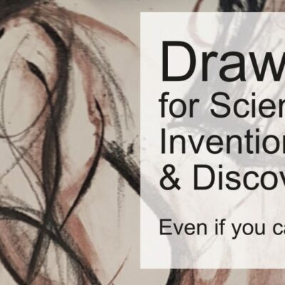 A collection of resources which explore methodical and chance drawing processes, together with visualisation, adaptation and memory drawing activities. 